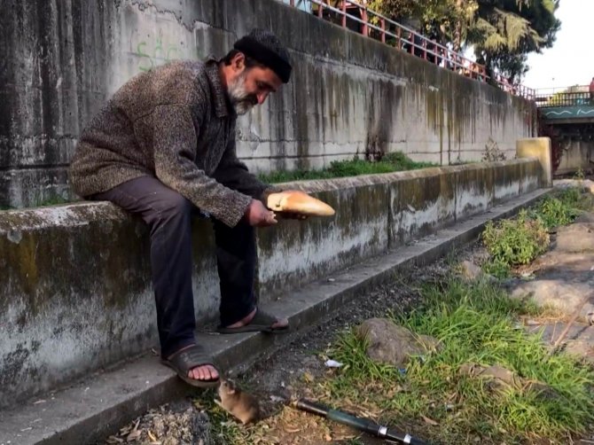 Kimsesiz Adam İle Farenin Dostluğu: Ekmeğini Fareyle Paylaşıyor