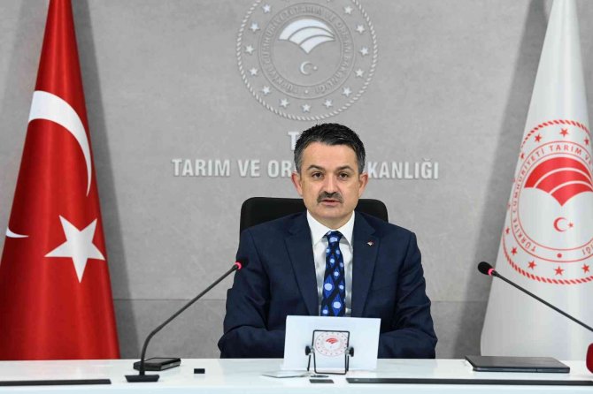 2021 Yılı Zeytin Ve Zeytinyağı Rekolte Tahmin Çalışmaları Tamamlandı