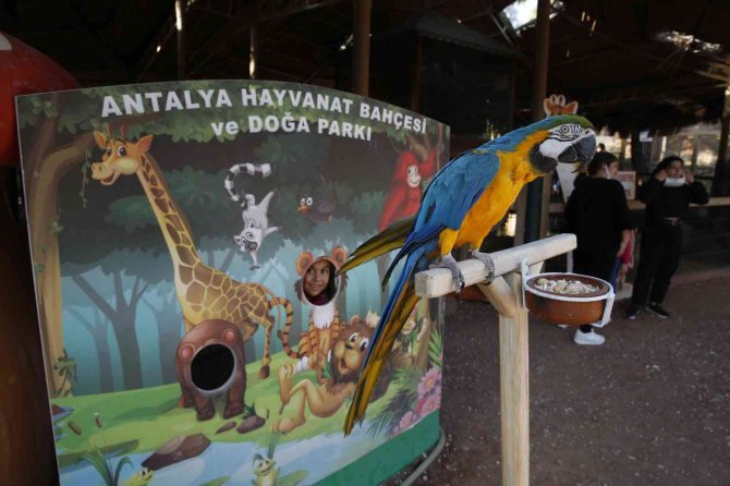 Antalya Hayvanat Bahçesi’nde Ara Tatil Yoğunluğu