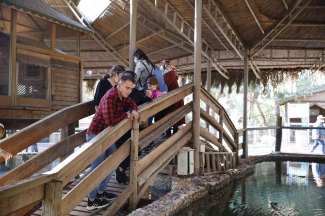 Antalya Hayvanat Bahçesi’nde Ara Tatil Yoğunluğu