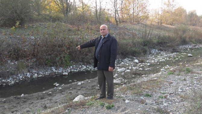 Vatandaşın Dikkati Binlerce Balığı Telef Olmaktan Kurtardı