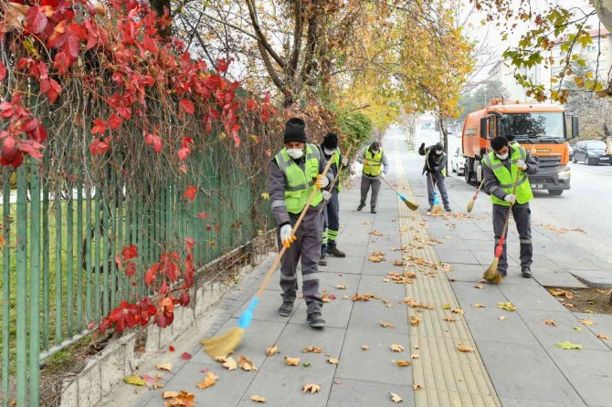 Ağaçlardan Dökülen Yapraklar İçin 650 Belediye Personeli Görevde