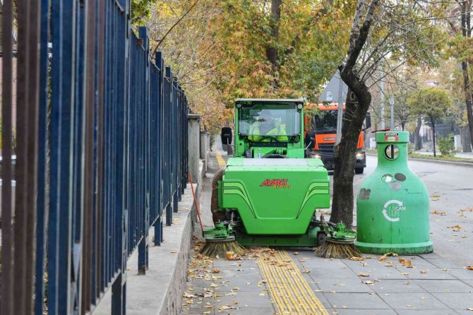 Ağaçlardan Dökülen Yapraklar İçin 650 Belediye Personeli Görevde