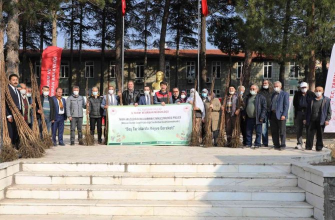 Boş Tarlalar Meyve İle Bereketlenecek
