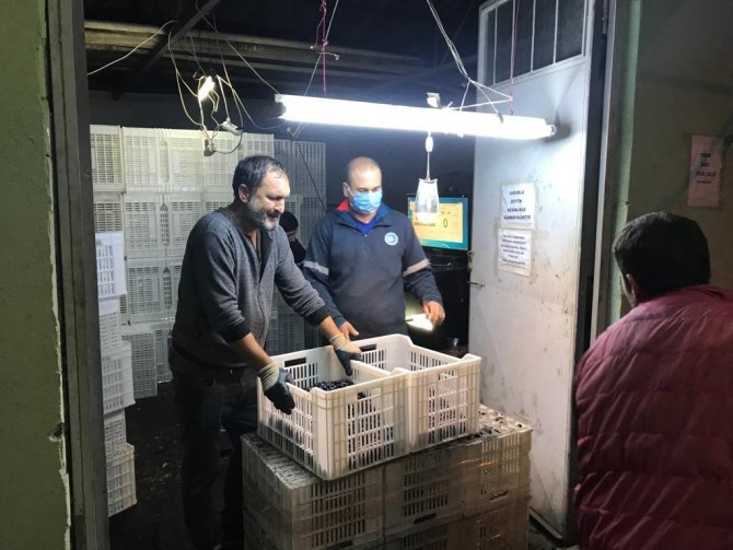 Erdek’in Zeytini Yok Satıyor