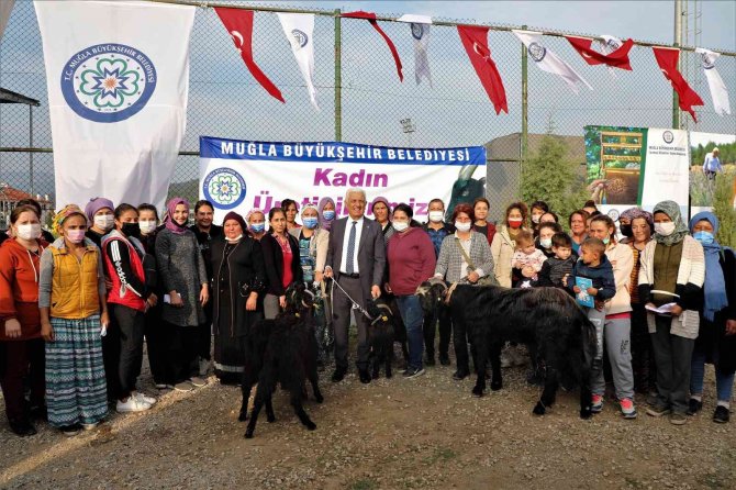 Ula’lı Kadın Üreticilere Kıl Keçisi Desteği