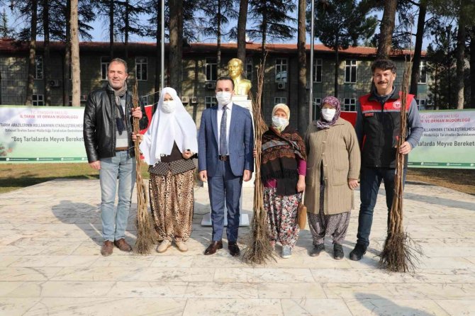 Boş Tarlalar Meyve İle Bereketlenecek