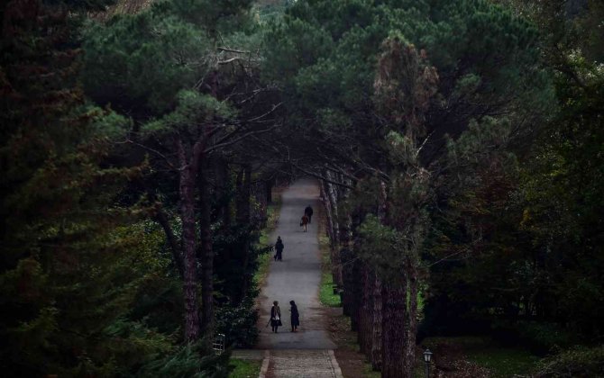 Atatürk Arboretumu’nda Renk Cümbüşü