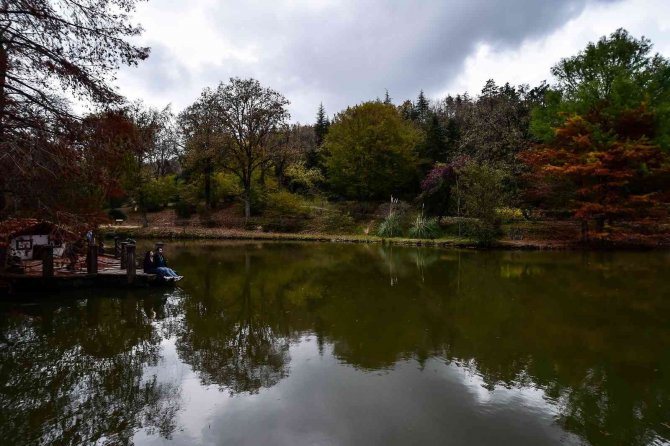 Atatürk Arboretumu’nda Renk Cümbüşü