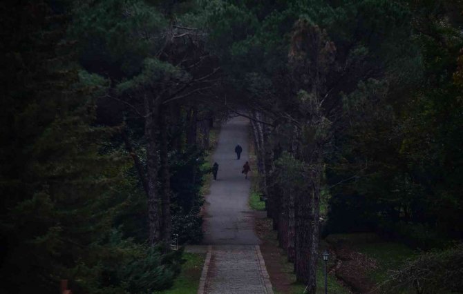 Atatürk Arboretumu’nda Renk Cümbüşü