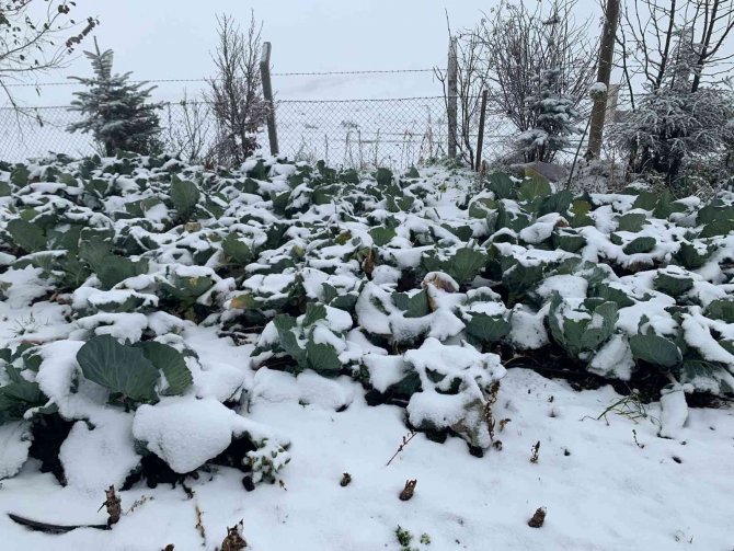 Tokat’ın Başçiftlik İlçesi Beyaza Büründü
