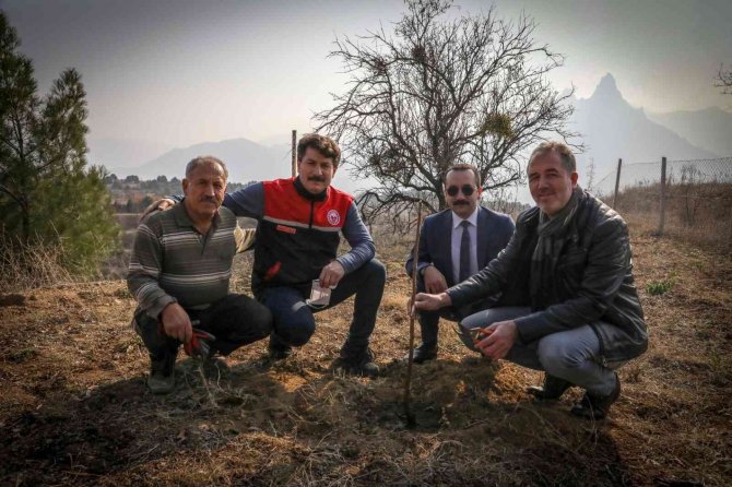 Boş Tarlalar Meyve İle Bereketlenecek