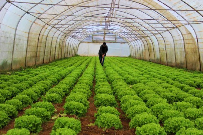 İ̇stanbul’un Yanı Başında Minik Antalya
