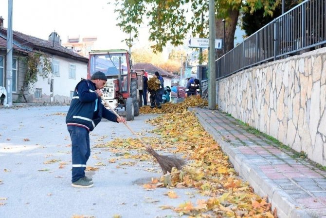 İ̇nönü’de Sonbahar Temizliği