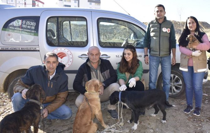 Hayvan Hastalıklarıyla Mücadelede Yeni Uygulama ’Mikroçip’