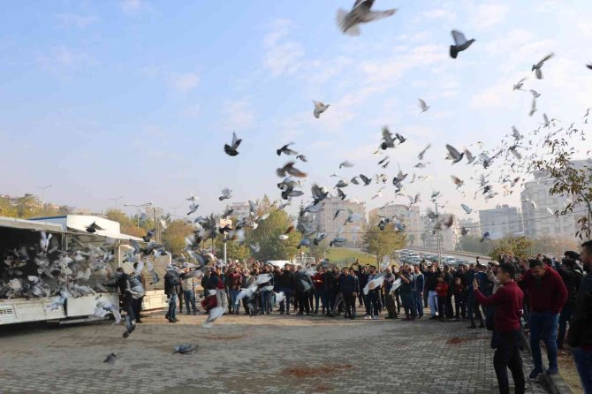 Kahramanmaraş’ta 6 Bin Güvercin Gökyüzüne Salındı