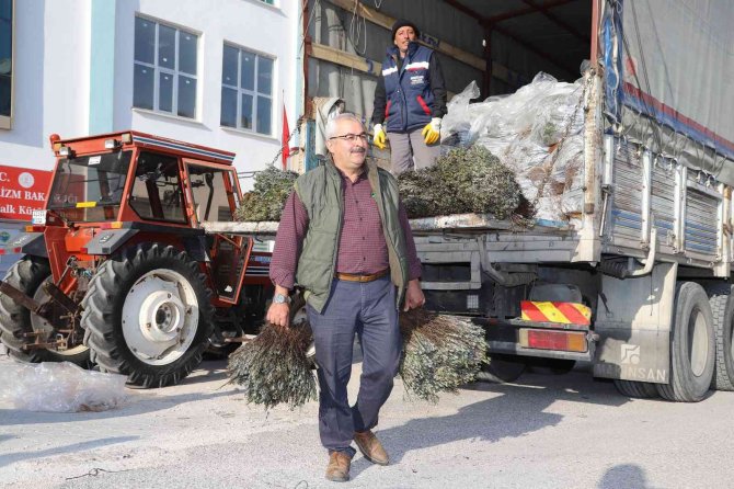 Konya Büyükşehir Üreticiye Lavanta Desteğini Sürdürüyor