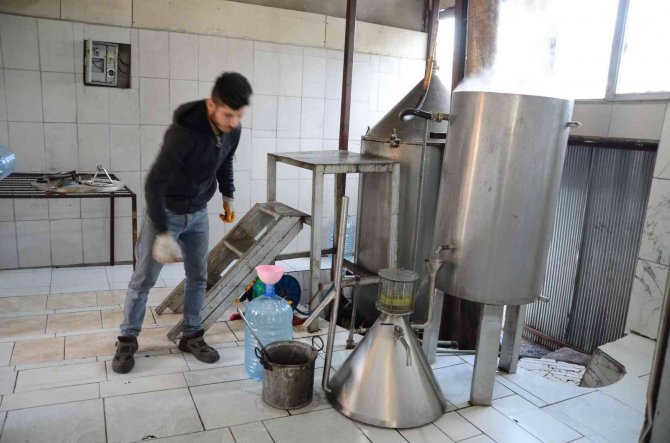 Torosların Şifalı Bitkilerinden 25 Çeşit Yağ Çıkarıyor