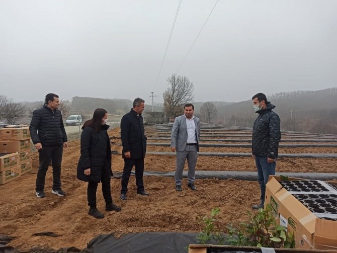Bilecik’te 15 Bin Adet Yaban Mersini Dikimi Gerçekleştirildi