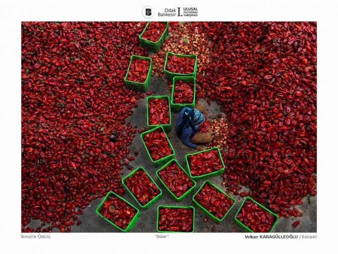 Balıkesir’in En Güzel Fotoğrafları Ödüllendirildi