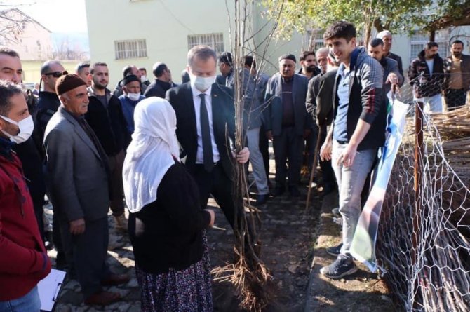 Hizan’da 22 Bin Meyve Fidanı Dağıtıldı