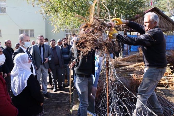 Hizan’da 22 Bin Meyve Fidanı Dağıtıldı