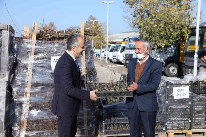 Bursa’nın Toprağı Büyükşehir’le Bereketleniyor