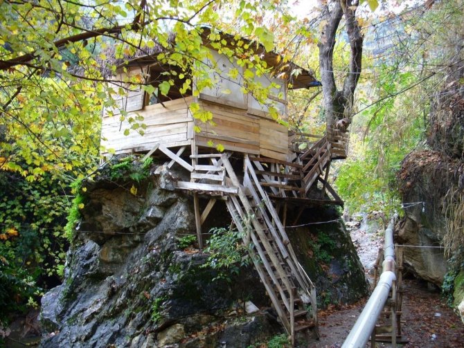 Ekodosd’ Tan, Koçak Kanyonu İçin Koruma Çağrısı