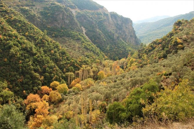 Ekodosd’ Tan, Koçak Kanyonu İçin Koruma Çağrısı
