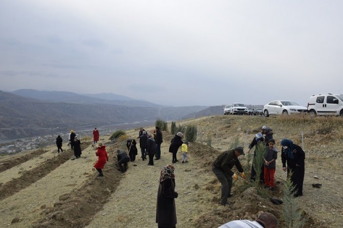 Elazığ’da 12 Bin Fidan Toprakla Buluştu