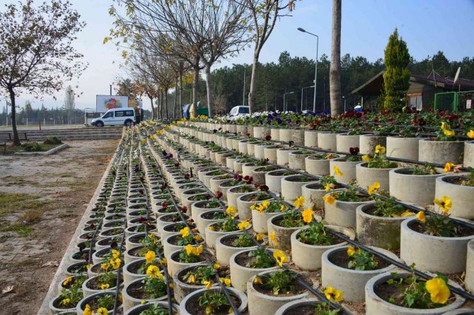 Gediz’de Her Mevsim Çiçek Açıyor