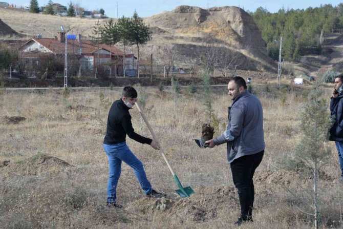 Daha Yeşil Bir Kahramankazan İçin El Ele Verdiler