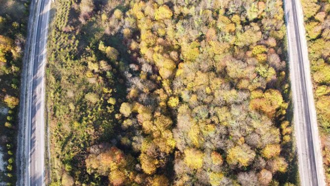 Karadeniz Sahil Yolundan Sonbahar Manzaraları