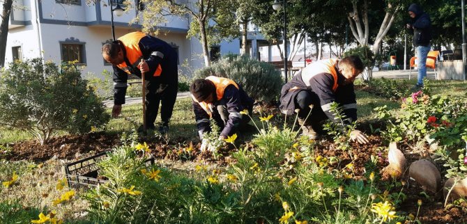 Kozan’da Parklar 225 Bin Çiçek İle Kışa Hazırlanıyor
