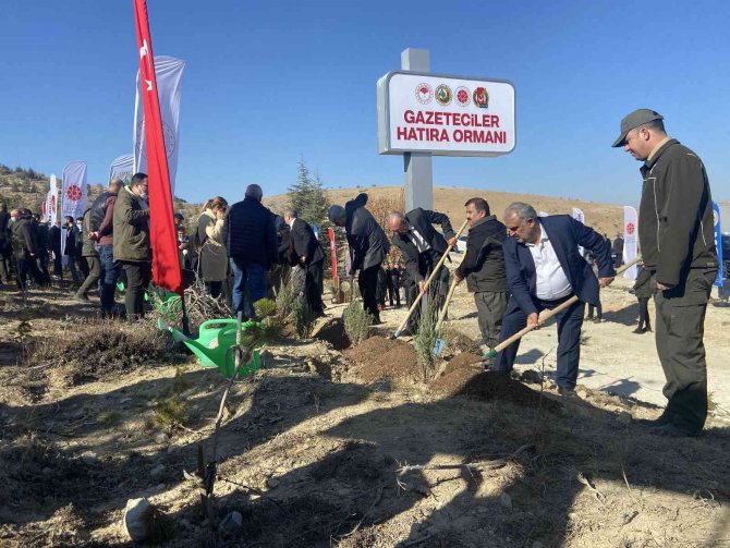 Konya’da Gazeteciler Hatıra Ormanı’na 5 Bin Fidan Dikildi