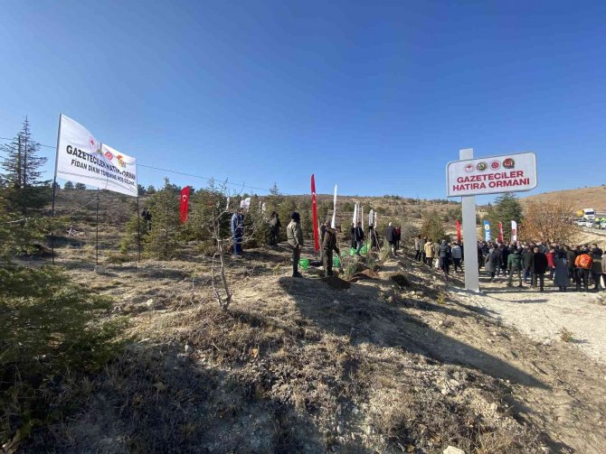 Konya’da Gazeteciler Hatıra Ormanı’na 5 Bin Fidan Dikildi