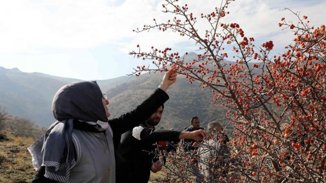 Akyurt’ta Öğretmenler İçin Doğa Yürüyüşü Düzenlendi