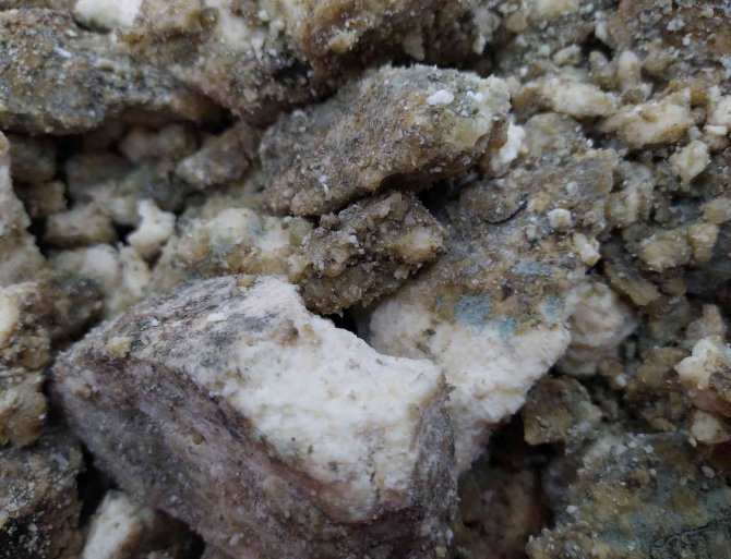 İ̇şte Muhteşem Süleyman’ın Ordusuna Yedirdiği Penisilin Gibi Peynir