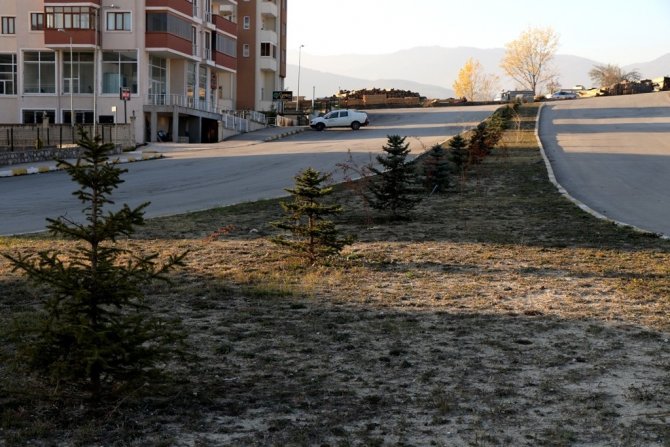 Safranbolu Belediyesinden Çiçeklendirme Ve Ağaçlandırma Çalışması