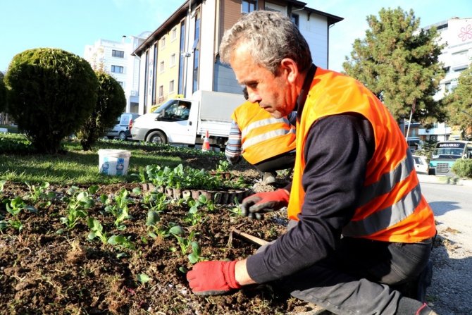 Safranbolu Belediyesinden Çiçeklendirme Ve Ağaçlandırma Çalışması