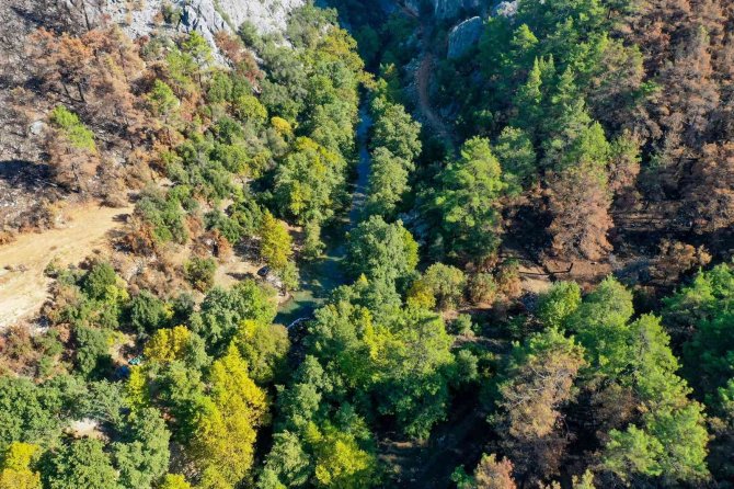 Yazılı Kanyon Tabiat Parkı Görenleri Hayran Bırakıyor