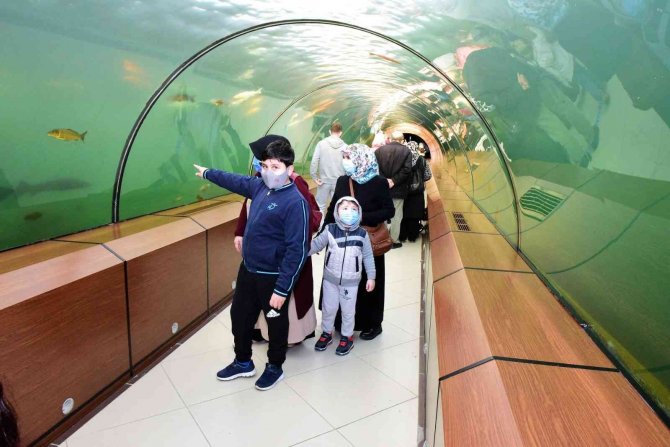 Türkiye’nin En Büyük Tatlı Su Tünel Akvaryumu Çocukları Ağırladı