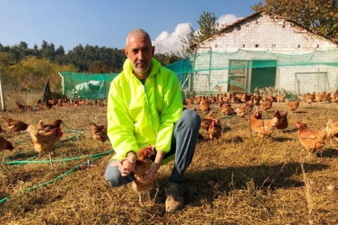 Yumurta Üreticisi Bakan Pakdemirli’den Destek İstiyor