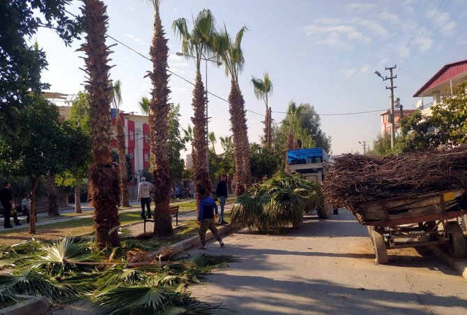 Akdeniz Belediyesi, Park Ve Yeşil Alanları Çiçeklendiriyor