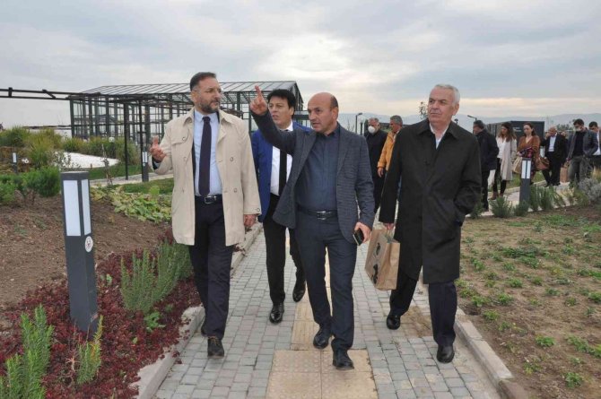 Altınova Cazibe Merkezi Olacak