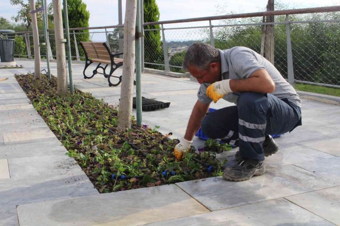 Manavgat Türkbeleni’nde 28 Bin Çiçek Toprakla Buluştu