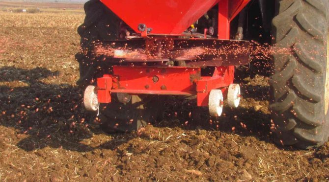 Araban Ovası’nda Makarnalık Buğday Ekimine Başlandı