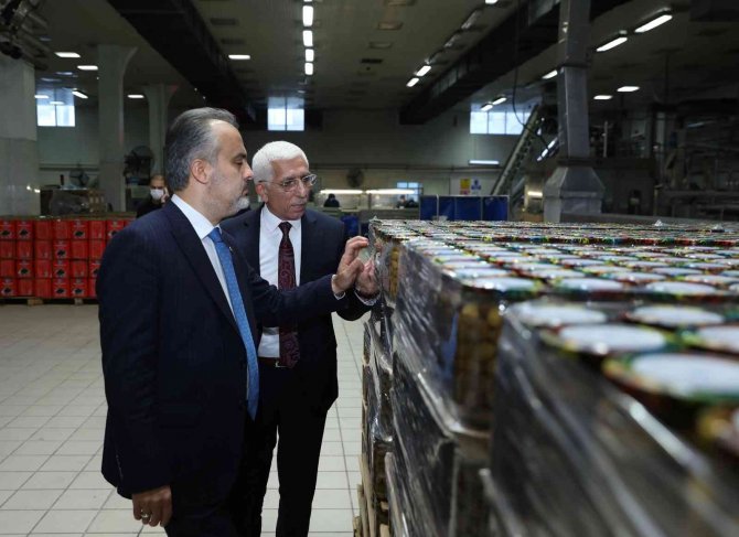 Başkan Aktaş, "Marmarabirlik, Zeytinciliğin Pusulası"