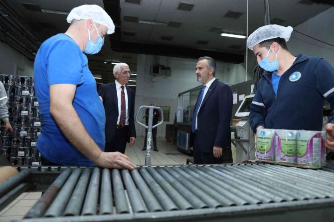 Başkan Aktaş, "Marmarabirlik, Zeytinciliğin Pusulası"
