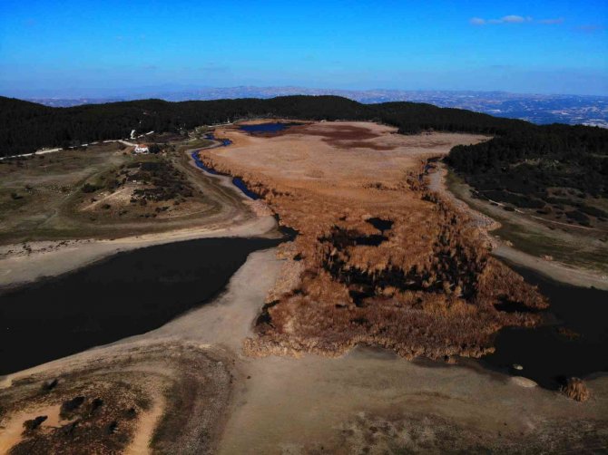 Kuş Cenneti Yayla Gölü Kuruma Noktasına Geldi